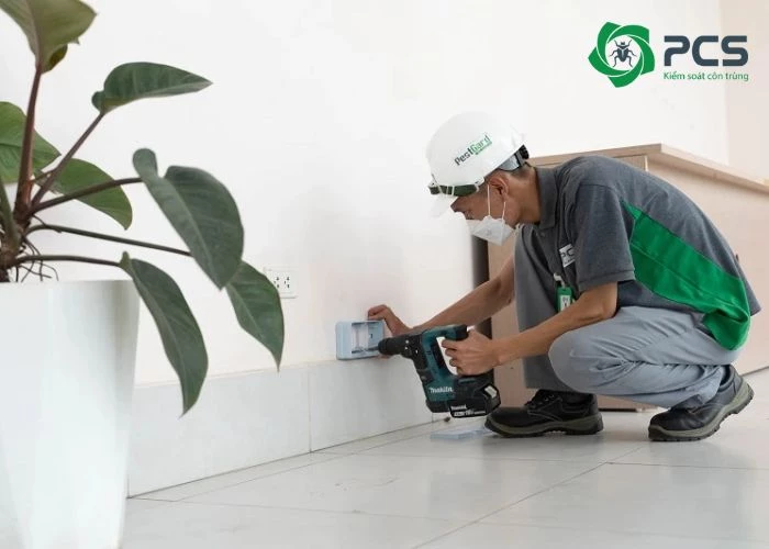 Cam kết của dịch vụ diệt côn trùng tại Đồng Nai của PCS
